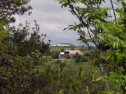 P5230015