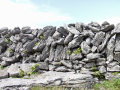 P5229754