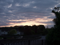 P5209564