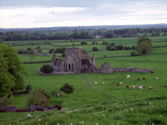 P5209546