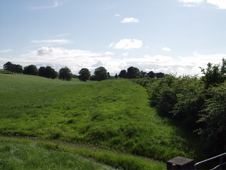 P5229829