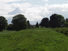 P5229830