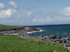 P5229731