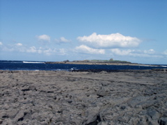 P5229724