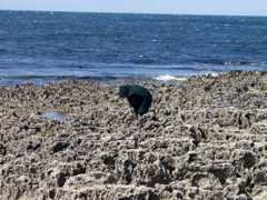 P5229725
