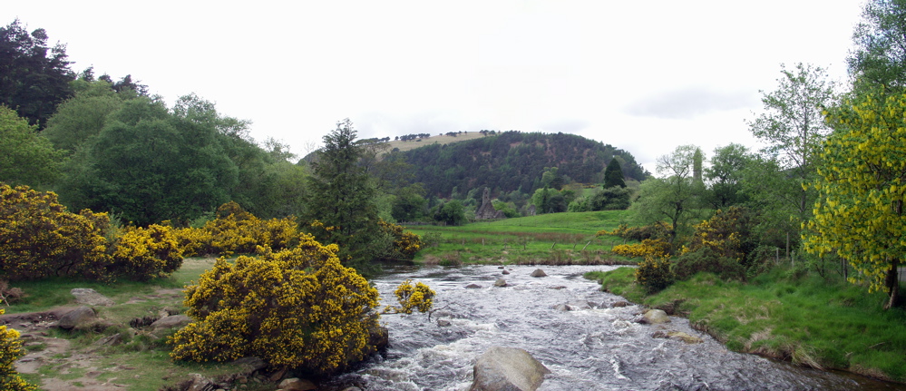 Glendalough pan 8