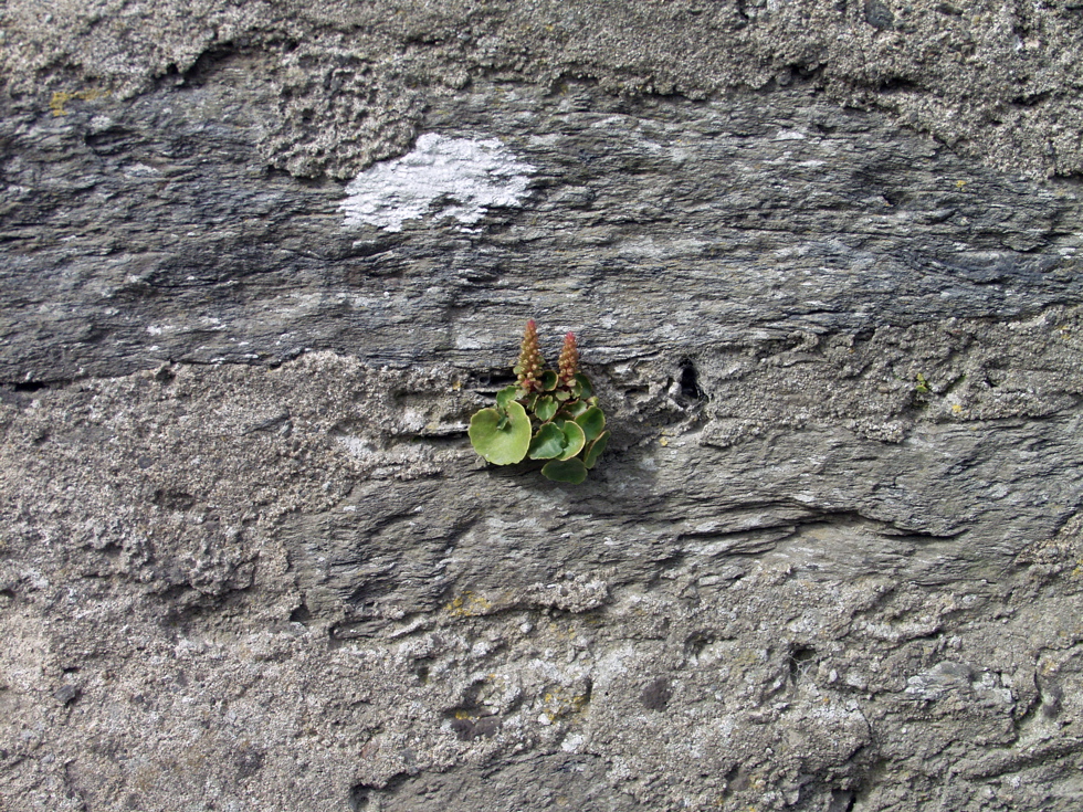 P5209520
