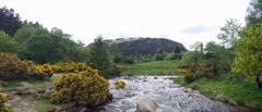 Glendalough pan 8