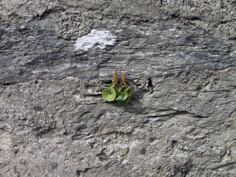 P5209520