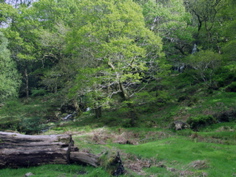 P5209530