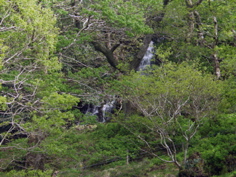 P5209531