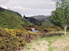 P5209533