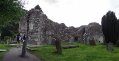 Glendalough pan 7