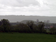 P5239928