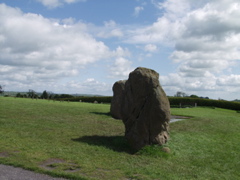 P5239905
