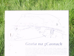 P5239943