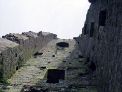 P5239958