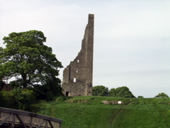 P5239952