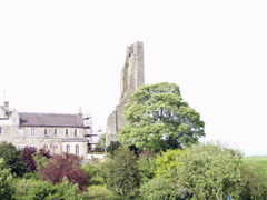 P5239936