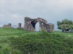 P5239953