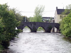 P5239954