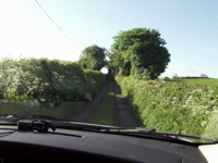 P5239882
