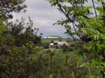 P5230015