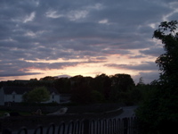 P5209564