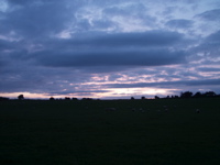 P5209569