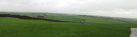 Rock pan 7