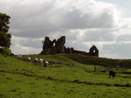 P5229808