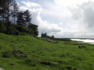 P5229805