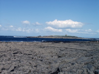 P5229724