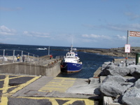 P5229728