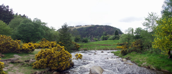 Glendalough pan 8