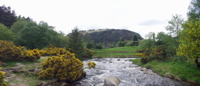 Glendalough pan 8