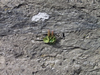 P5209520