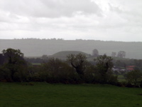 P5239928