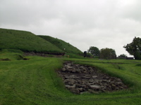 P5239930