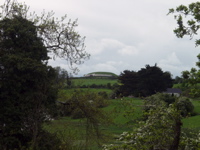 P5239935