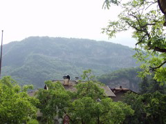 P5263751