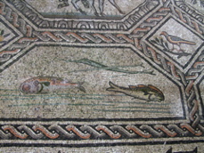 P5283890