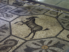 P5283910