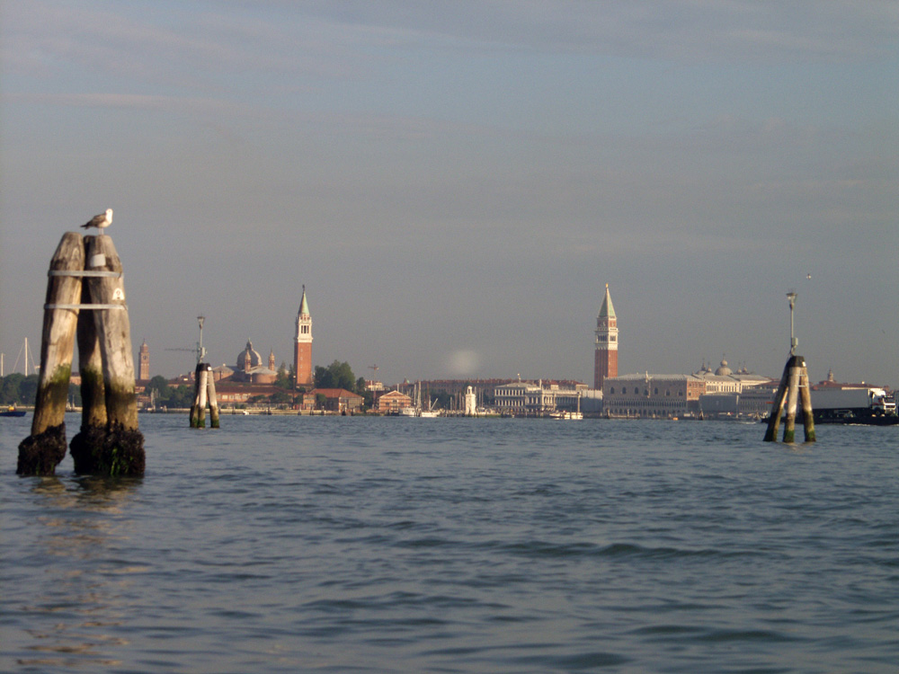 P6034315.JPG