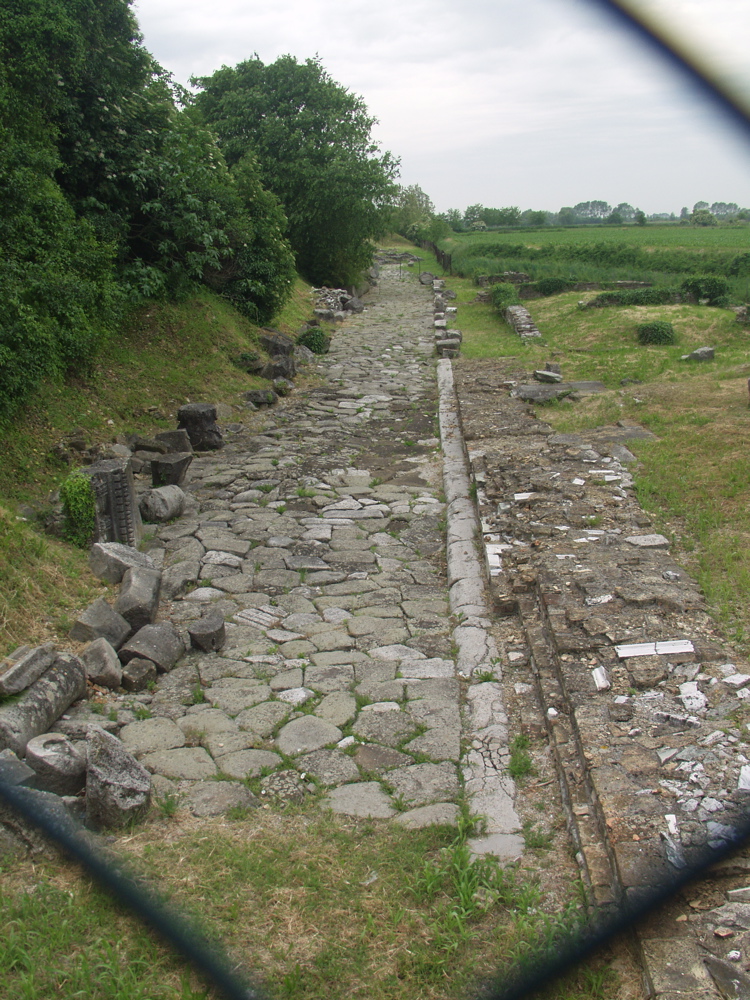 P5283918