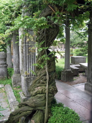 P5283956