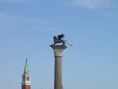 P5293995