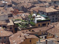 P5253696
