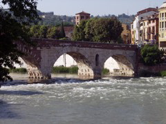 P5253736