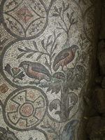 P5283912